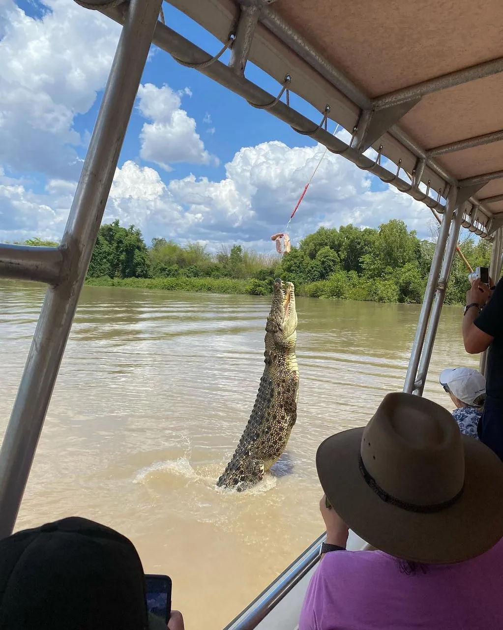 Are There Child Fares, and What Ages Count as “Children” on Jumping Crocodile Cruises
