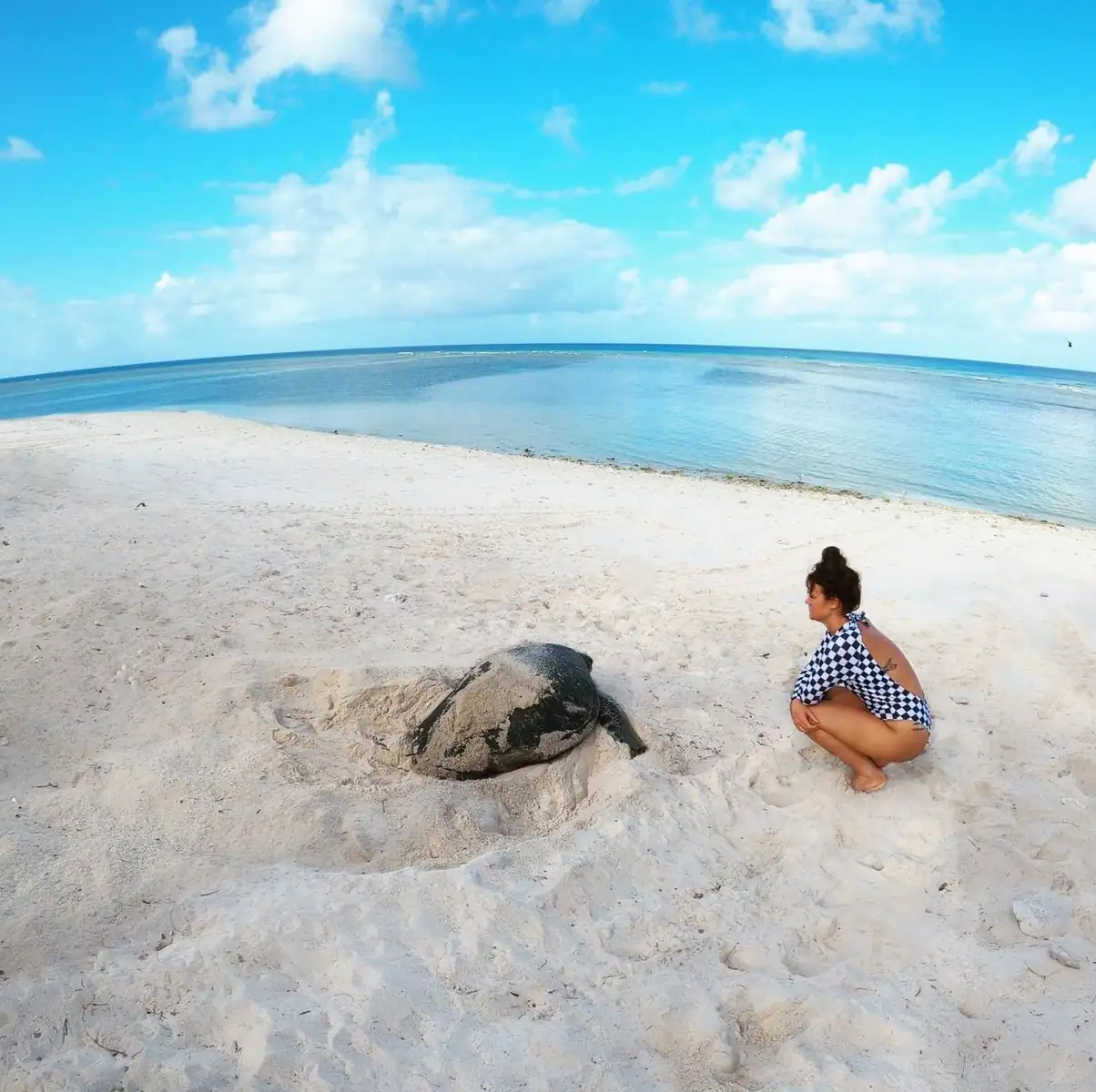 Great Barrier Reef for Kids