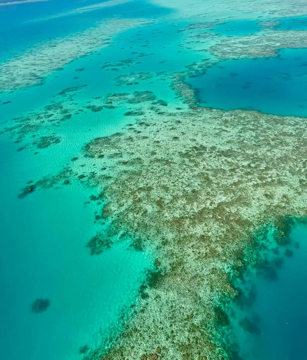 How to See the Reef for Under $150