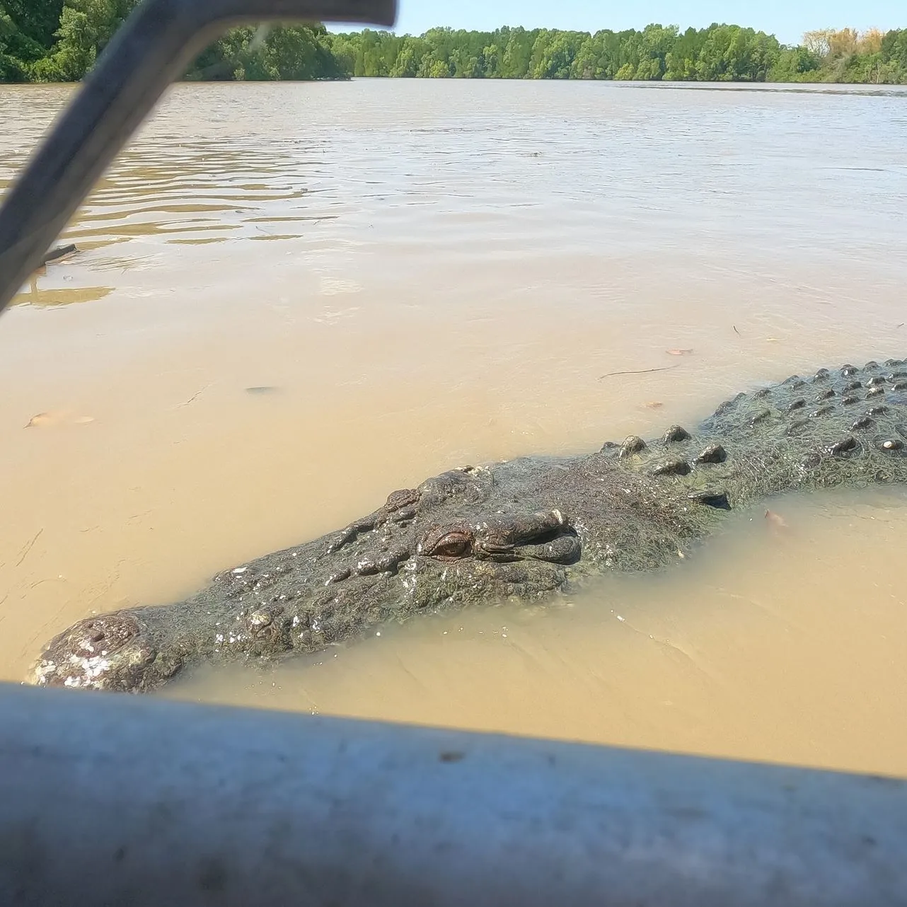 The Darker Side of Interacting with Crocodiles & Cultural Sensitivity