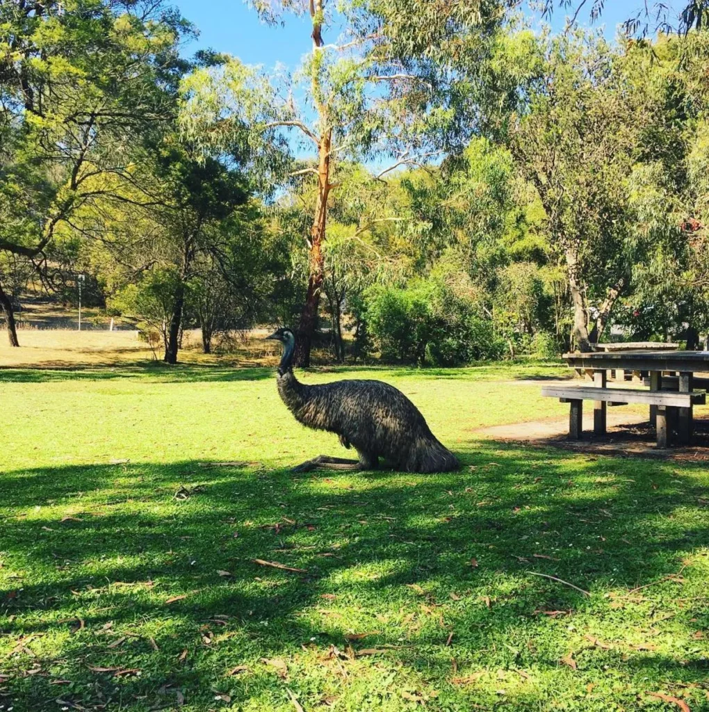 Tower Hill Wildlife Reserve