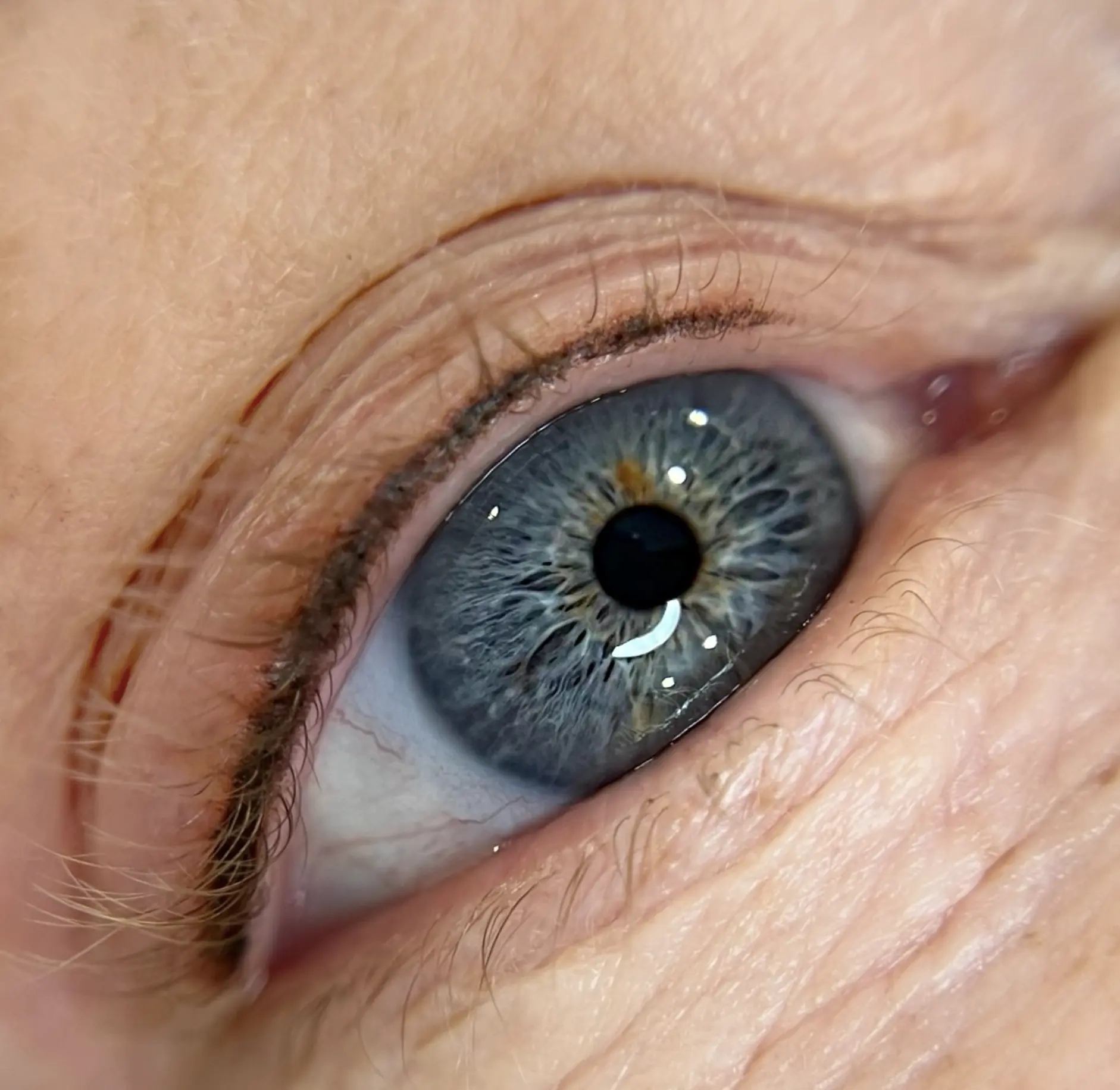 Illusion Papillon | What is the best color for permanent eyeliner? What is the best color for permanent eyeliner?