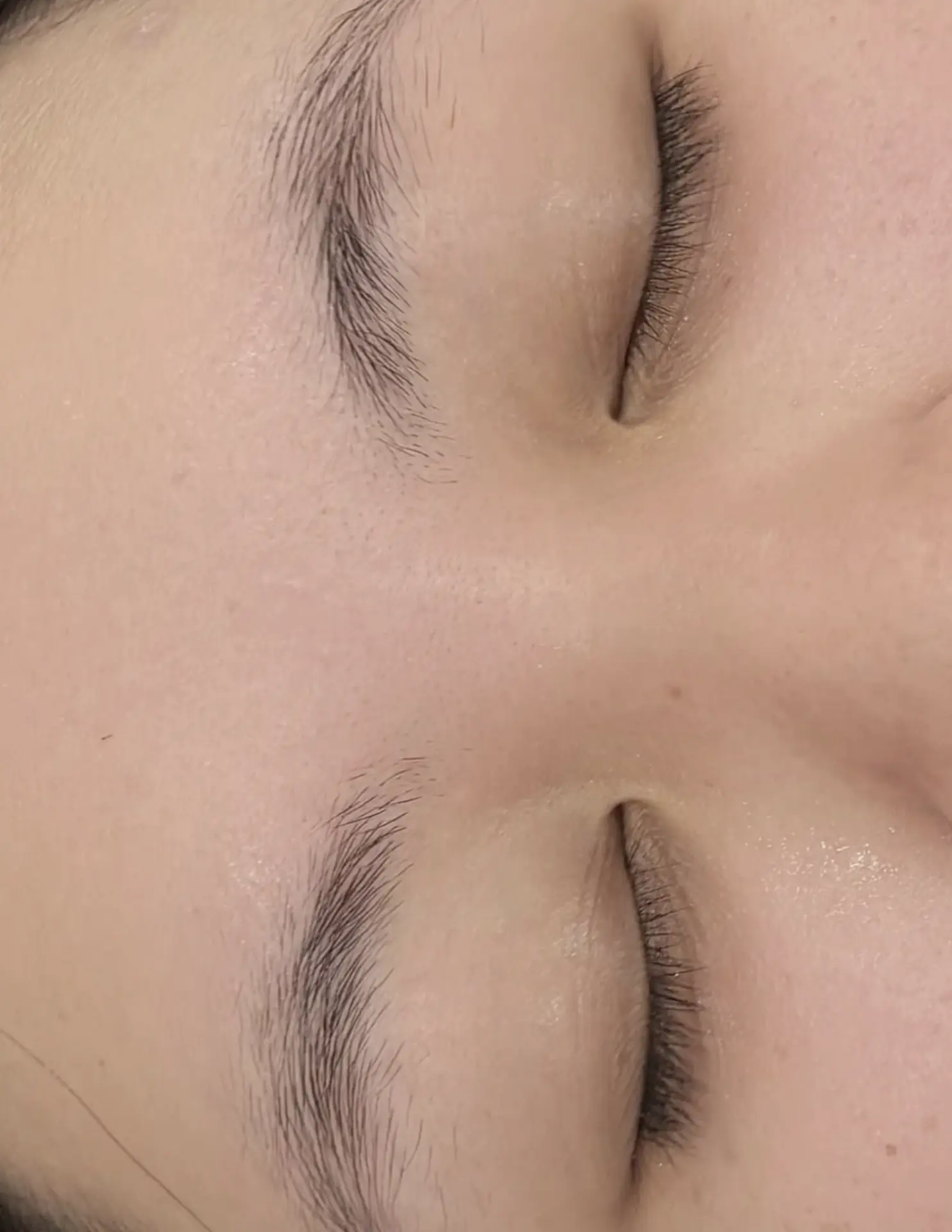 Illusion Papillon | Why does waxing only last a week? Why does waxing only last a week?