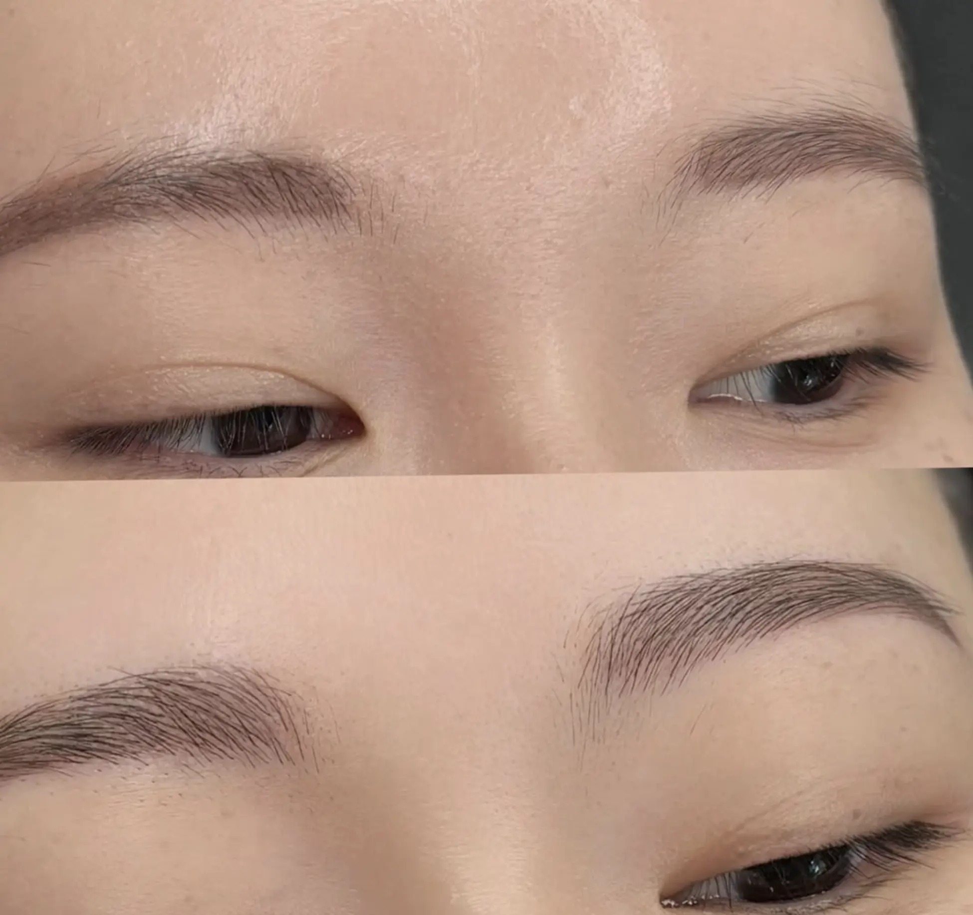 Illusion Papillon | Why does waxing only last a week? how long does waxing last