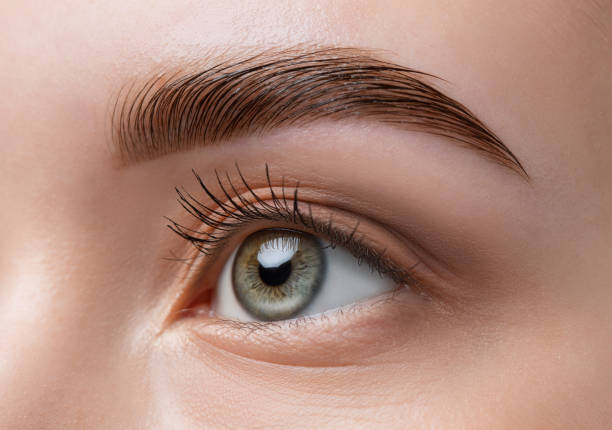 Close-up of a woman's eye showing detailed eyebrow and eyelashes.