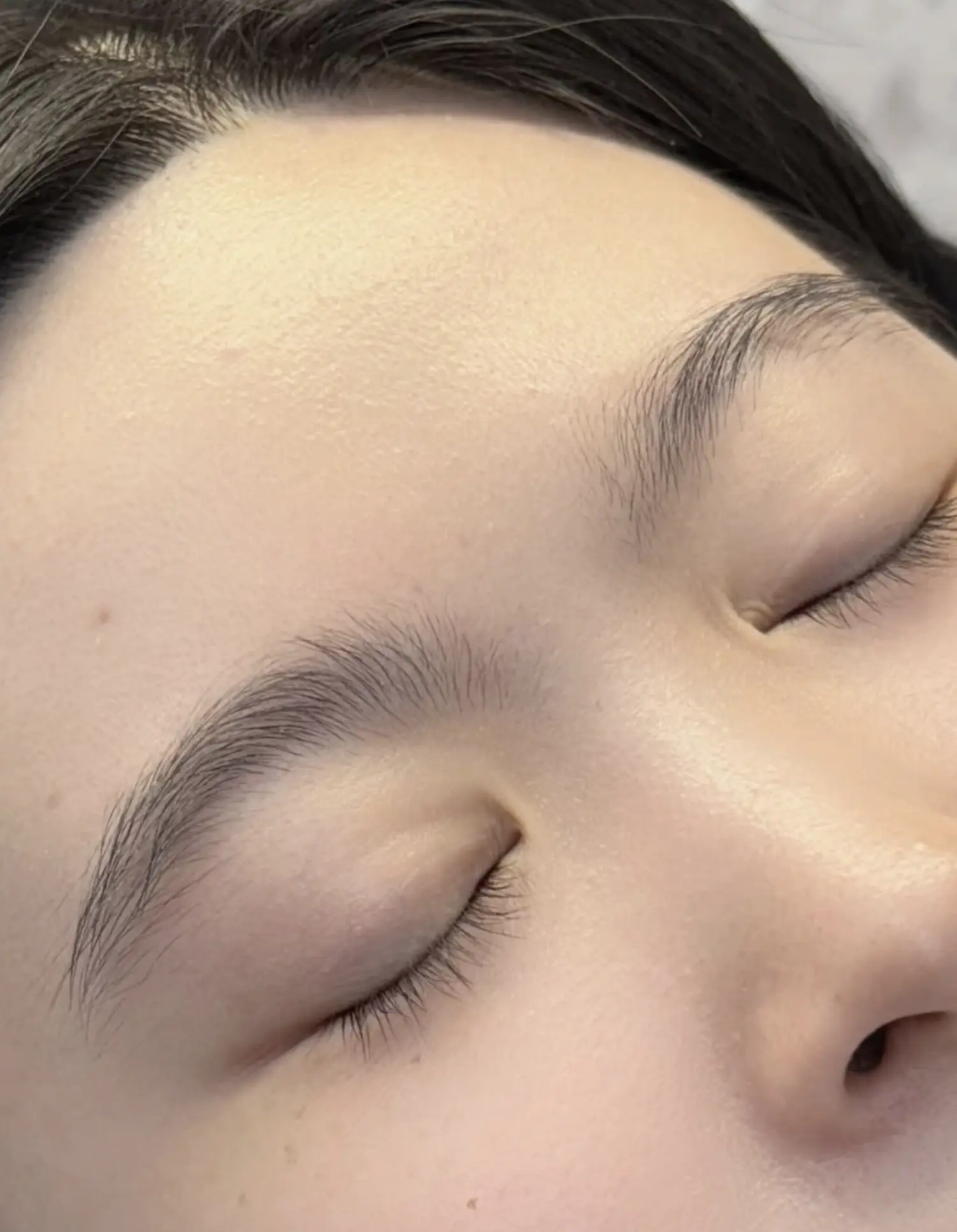 Illusion Papillon | Why does waxing only last a week? why does hair grow back fast after waxing